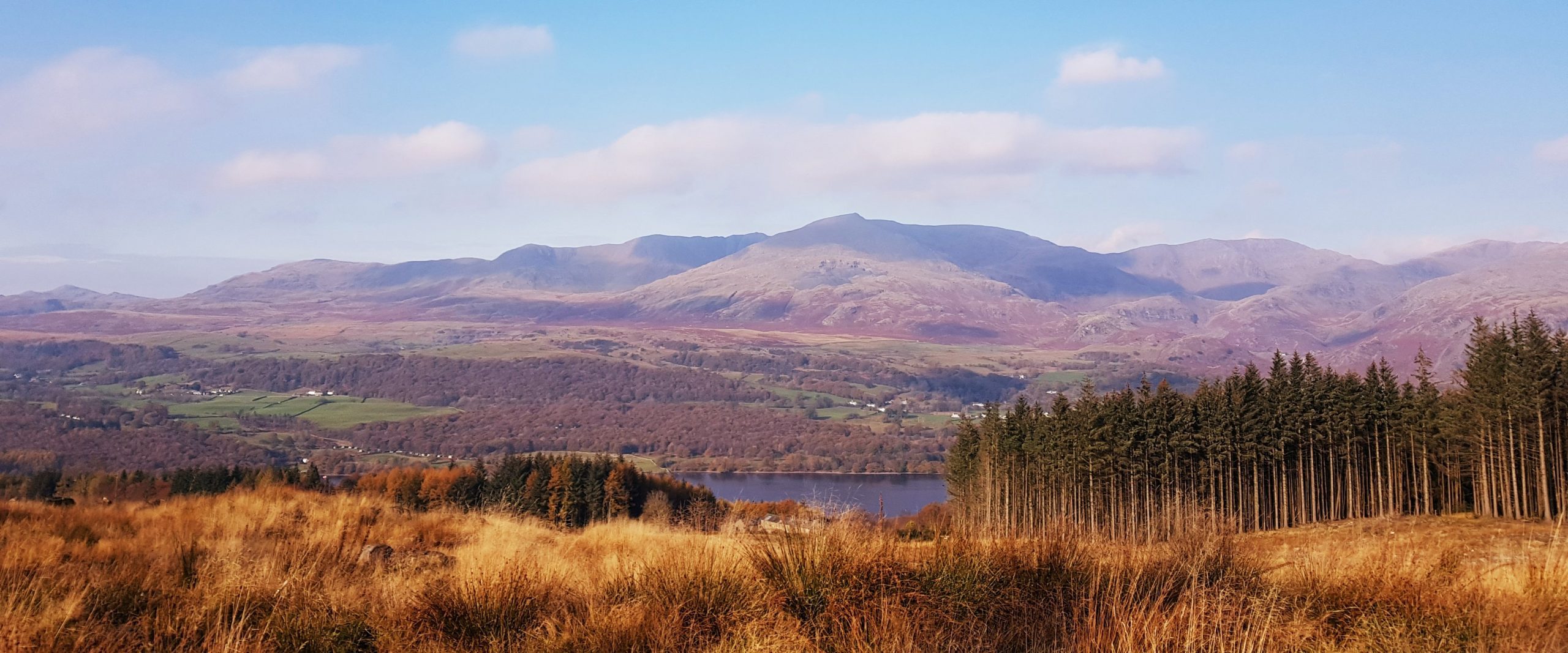 Grizedale Forest, walking trails , grizedale forest walks