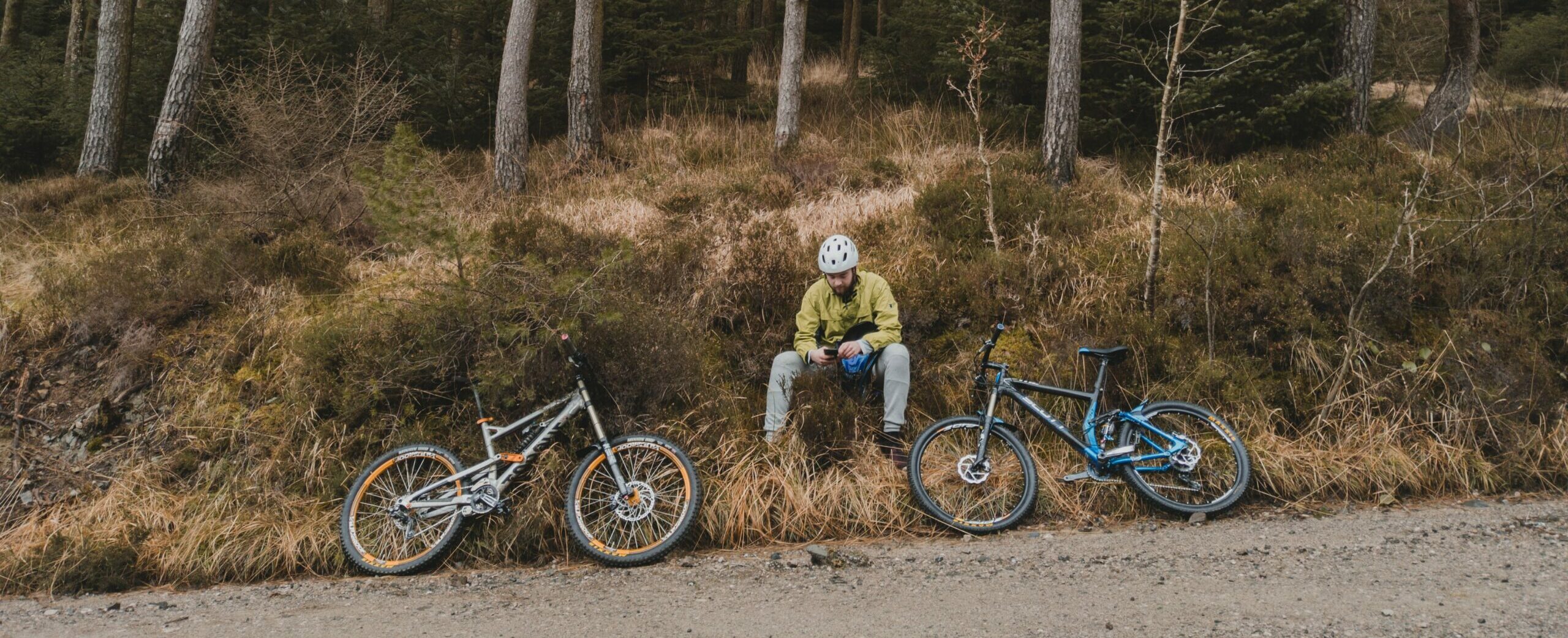 Grizedale Forest, walking trails , grizedale forest walks