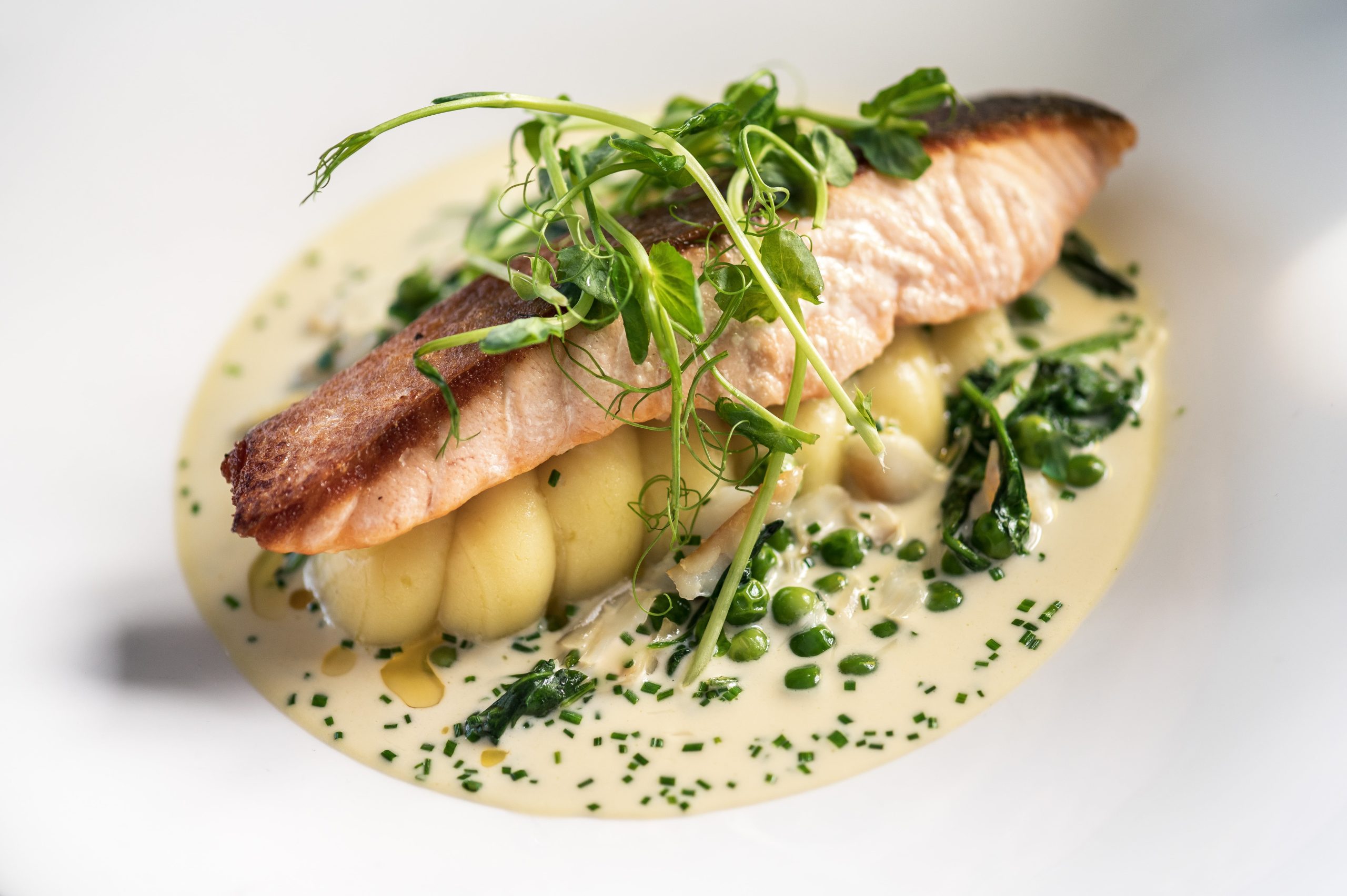 Salmon-main