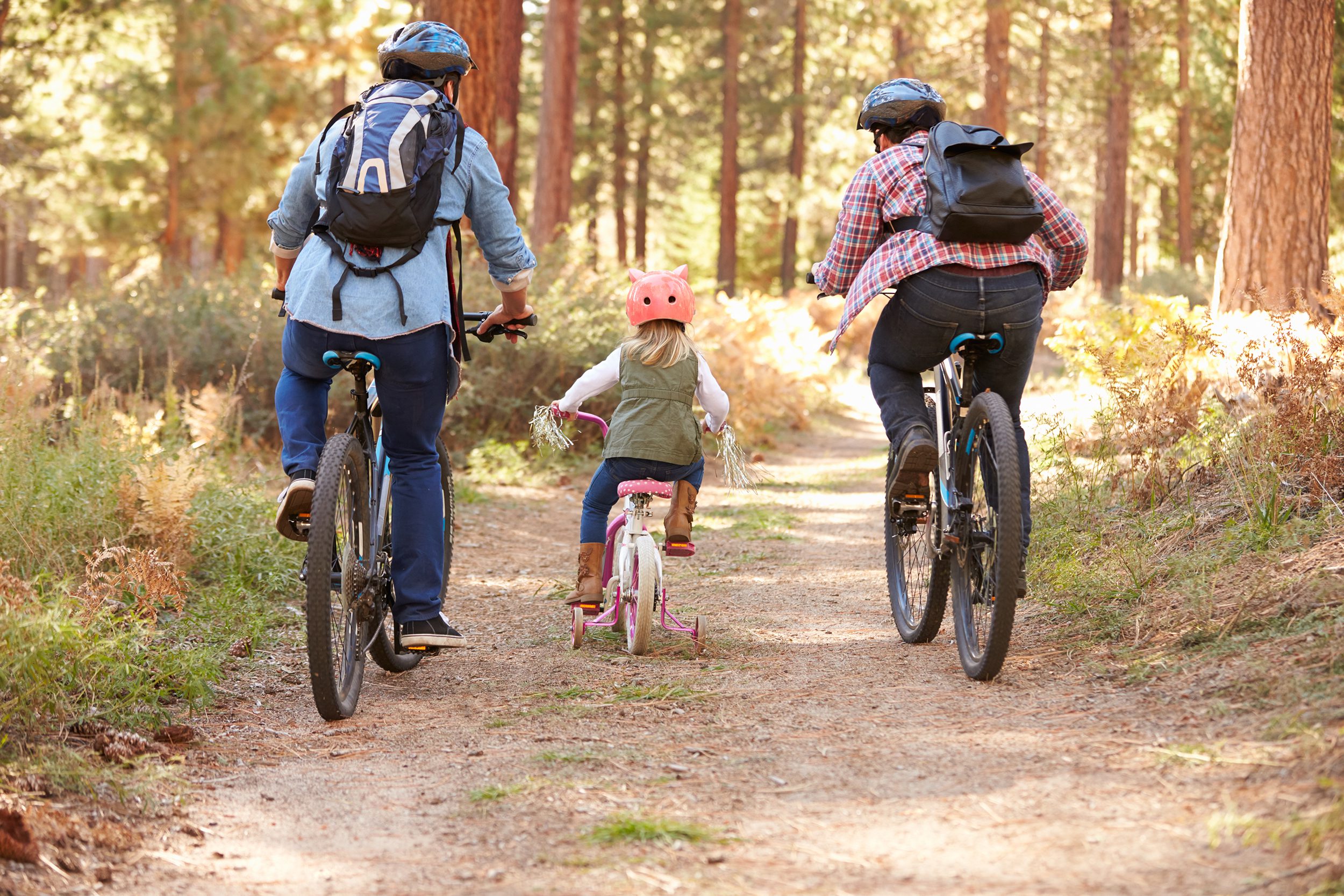 Grizedale Forest, walking trails , grizedale forest walks