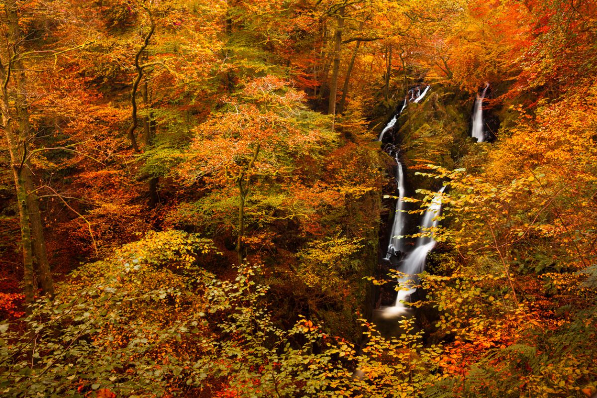 Stock Ghyll Force