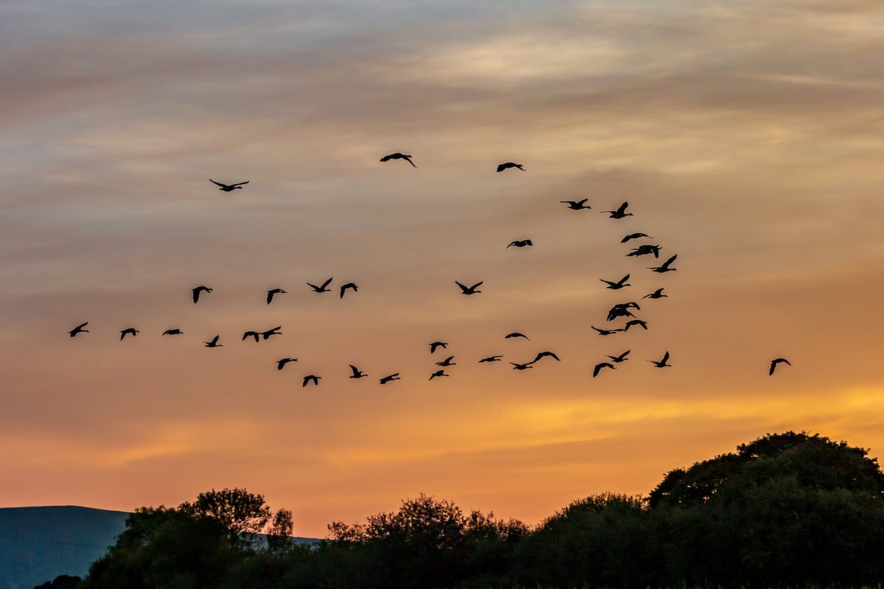lake district autumn