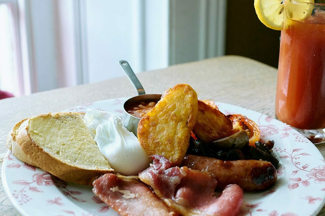 swan-at-breakfast