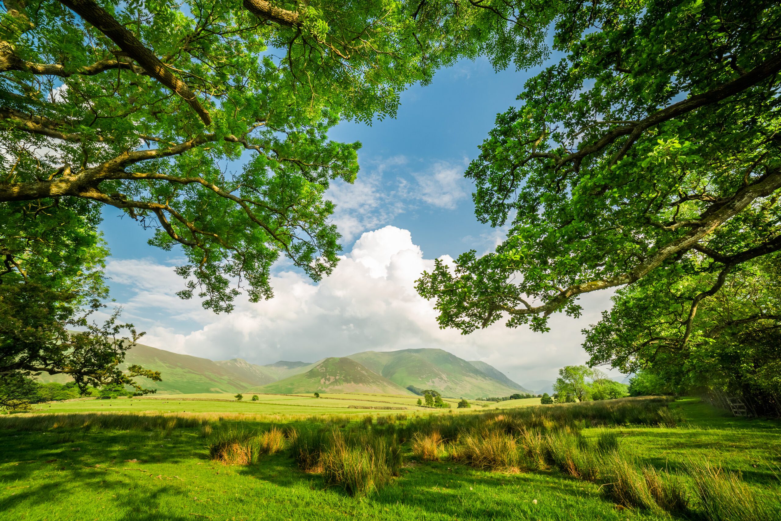 lake district spring