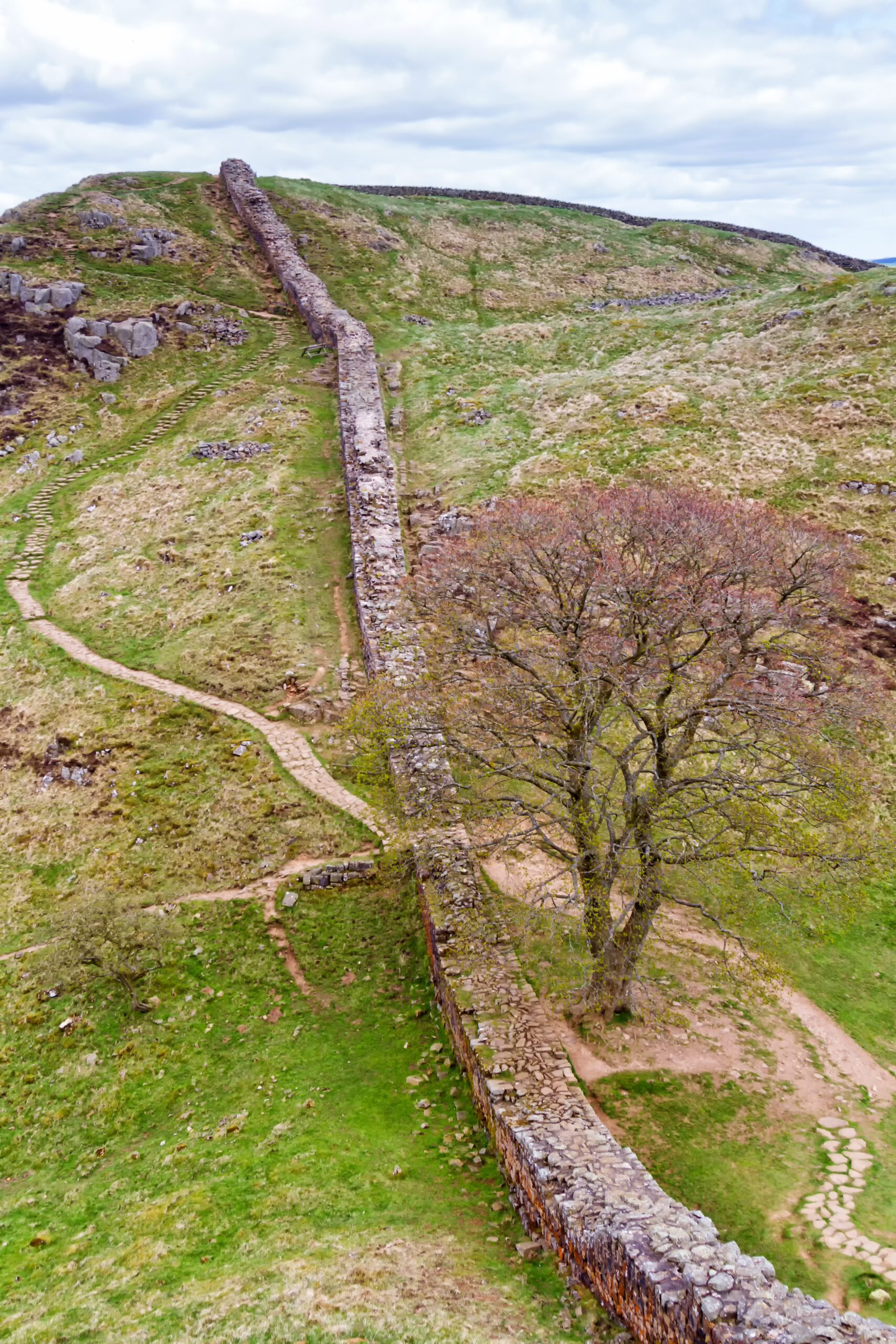 hadrians wall
