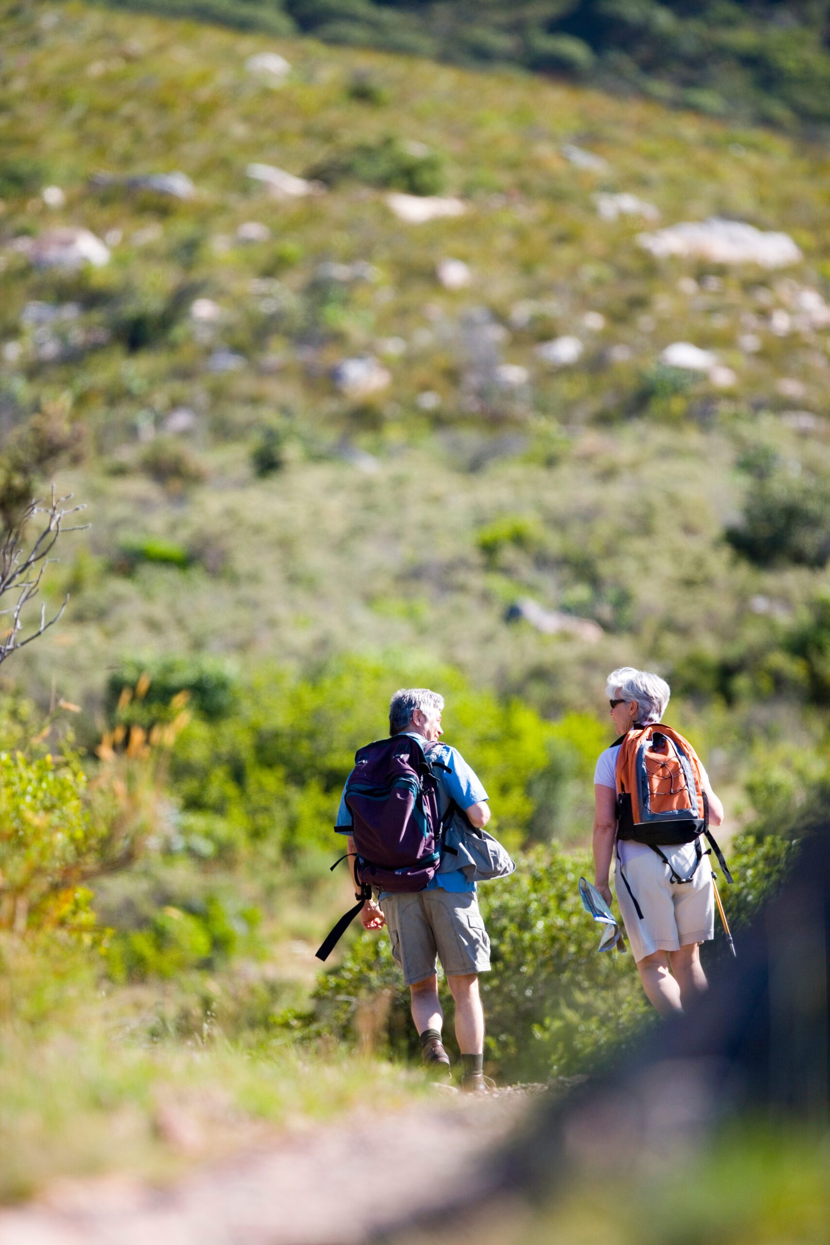 active-mature-couple-hiking-on-mountain-trail-with-2026-03-26-04-41-20-utc
