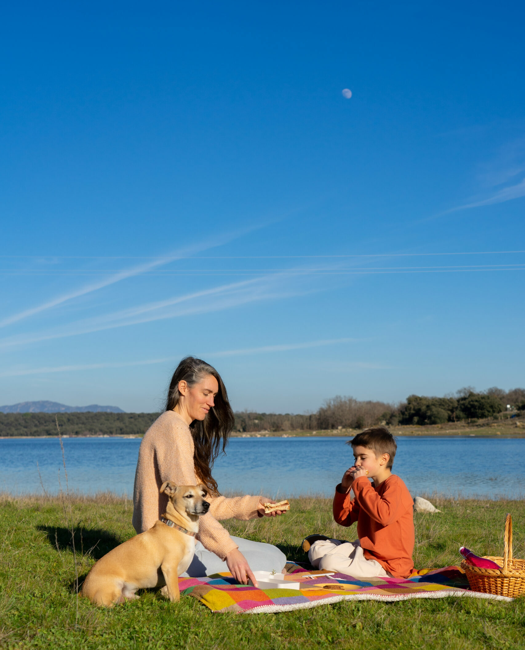 family enjoying picnic